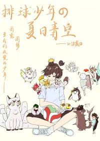 [排球少年同人] 夏日青空